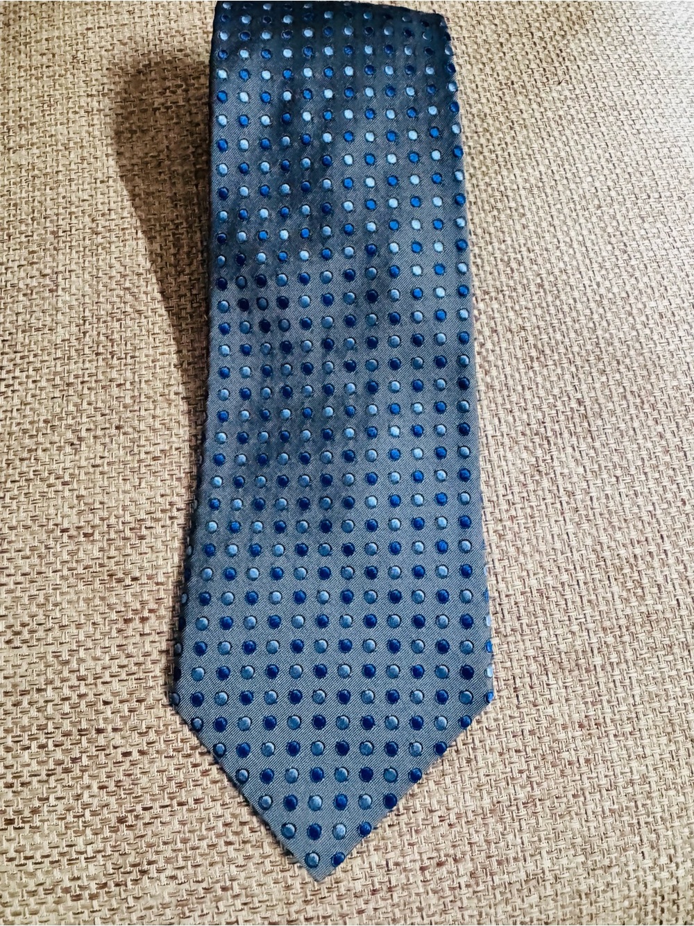 Express Blue and Navy Polka Dot Silk Tie